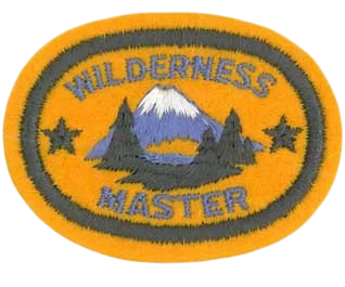 Master Award